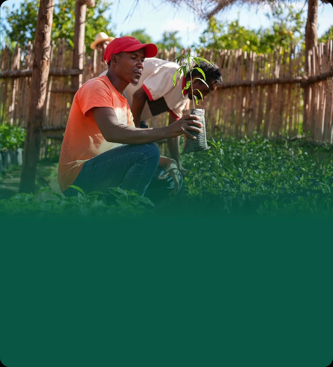 Verified carbon credits